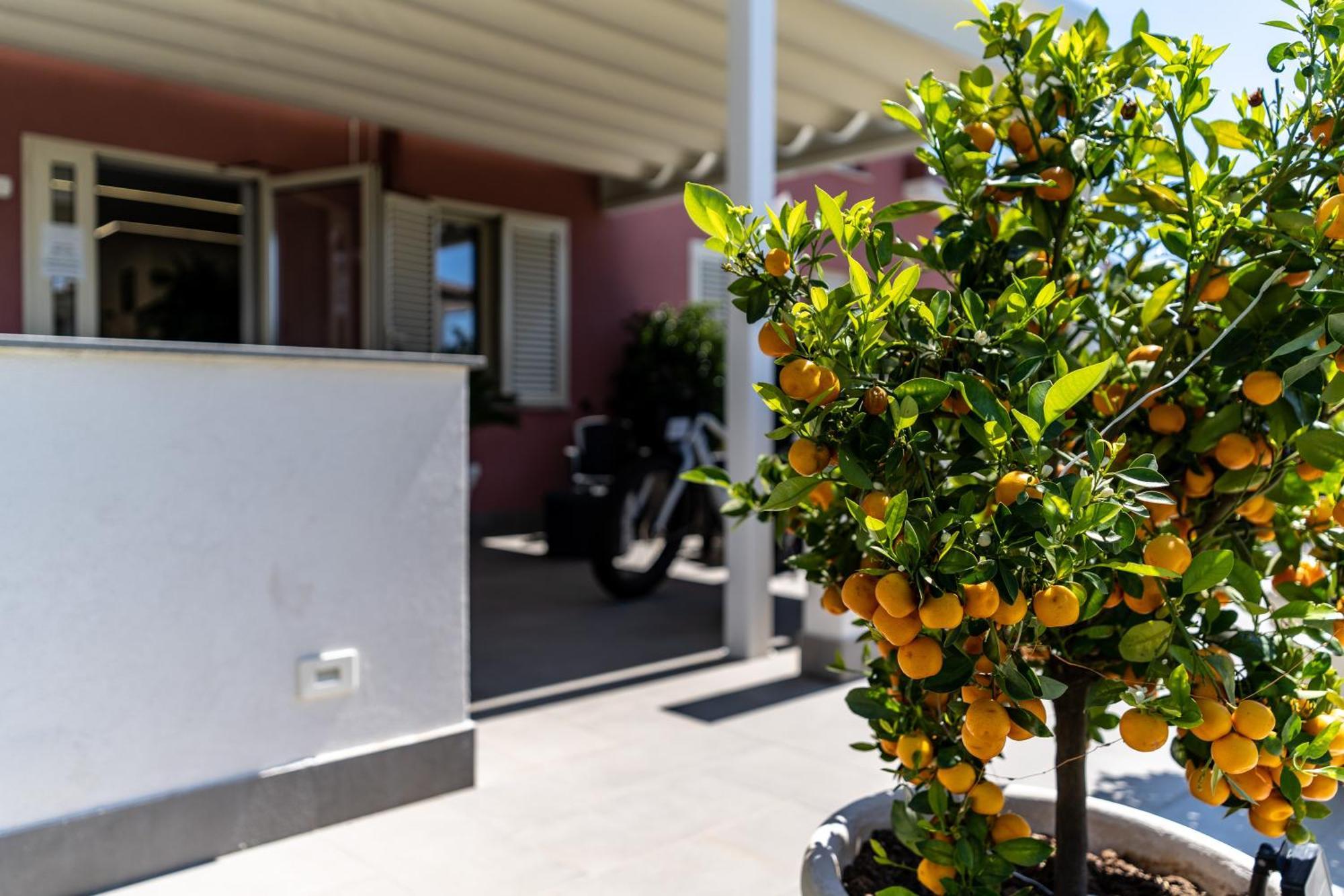 Dipladenia Garden Country Resort Mascali Bagian luar foto
